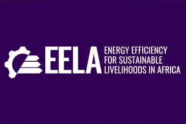 EELA and the Industry Clean Tech Platform: Building the Foundations for Green Industrial Transformation in Africa