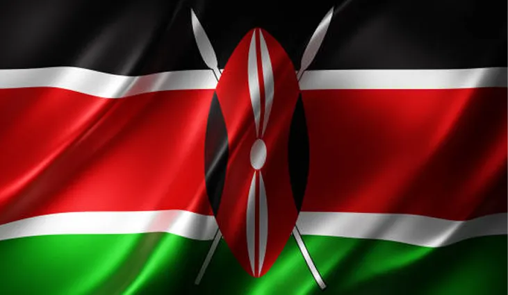 Learn Kenya’s value chains, economic direction, and clean-tech opportunities.